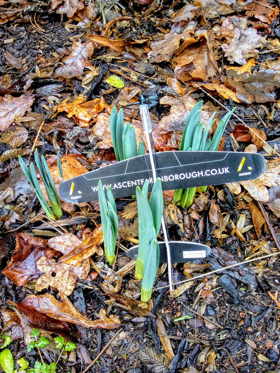 AerospaceFbough's tweet photo. Early signs of Spring here at Ascent Offices, Farnborough Aerospace Centre. Flexible offices to rent contact @HollisHockley @CushWakeUK https://t.co/mB6h8A6DYU Good facilities on-site Gym & Cafรฉ @AscentCafe #ascentglider #earlysignsofspring #daffodils #officetorentinfarnborough https://t.co/tyK4Y9tRwH