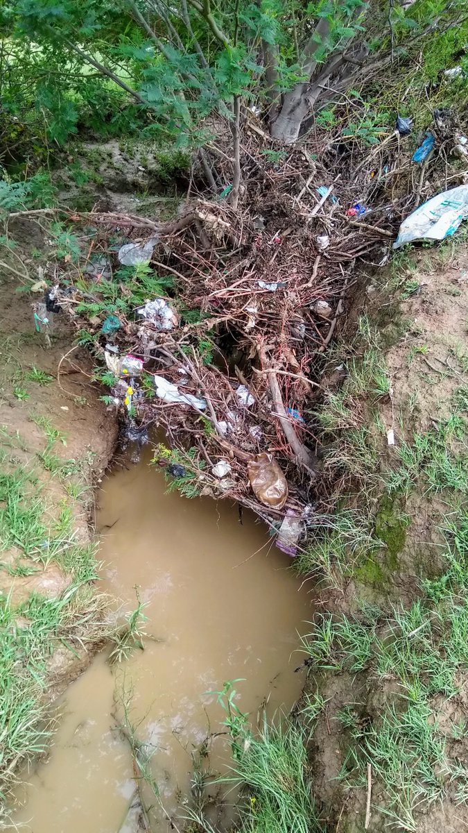 thehubatmorija's tweet photo. Littering and a lack of waste management are major problems in our community! Looking forward to our environmental awareness education program in schools this year, and continuing to encourage environmental #activism amongst our members! #FridaysForFuture #Lesotho #ClimateChange https://t.co/umeKeZhcSH