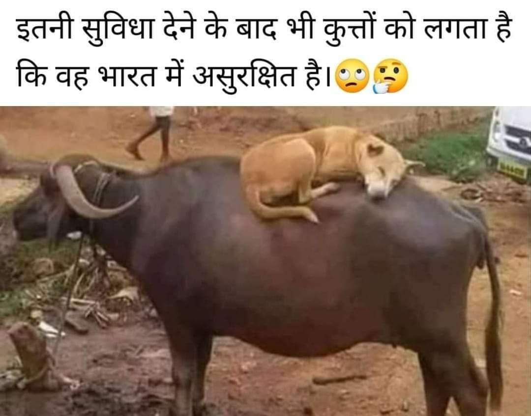 AviPorwal1's tweet photo. @PushpendraKuls4 😉कैसा लगा
#Bollywood
#JNUUnderAttack
#secural https://t.co/JpNTTafXZY