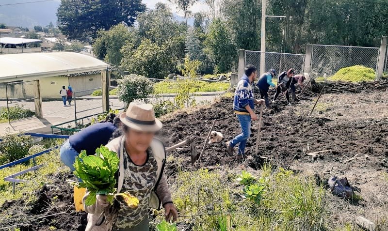 DPS_LosRios's tweet photo. #Bolívar | El distrito #Guaranda, fomenta la implementación de huertos basados en hortalizas y plantas medicinales. Participan comités locales de salud y clubes de adolescentes, con el fin de producir alimentos sanos y promover la medicina tradicional.
#MSPdeTodosyParaTodos https://t.co/11KjzBiyj1