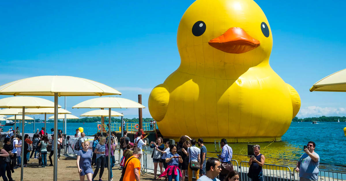 blogTO's tweet photo. The world's largest rubber duck is coming back to Toronto https://t.co/E0uiKQRfhV #Toronto https://t.co/TtTuFZrmPf