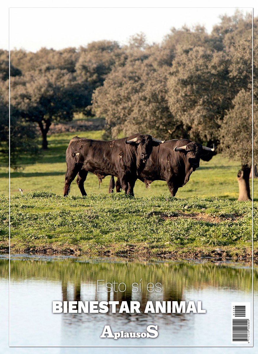 Aquí tiene un ejemplo de bienestar animal  <a href="/PabloIglesias/">Pablo Iglesias 🔻{R}</a>