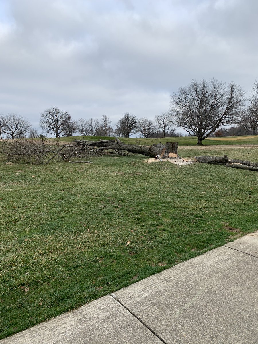 baker_cameron's tweet photo. A little #BasalPruning going on today @LCCGrounds1908 .  @STIHL makes the best weedwhackers https://t.co/7QlE6eXSra