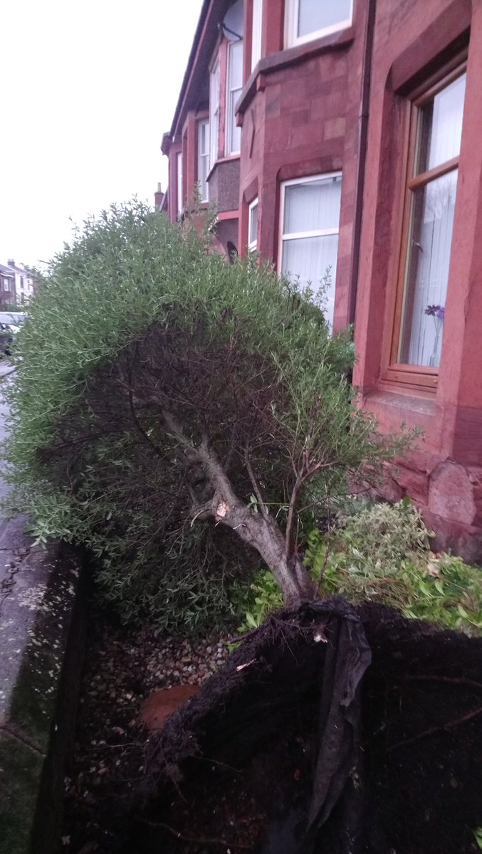 Julie McPhee tweet media