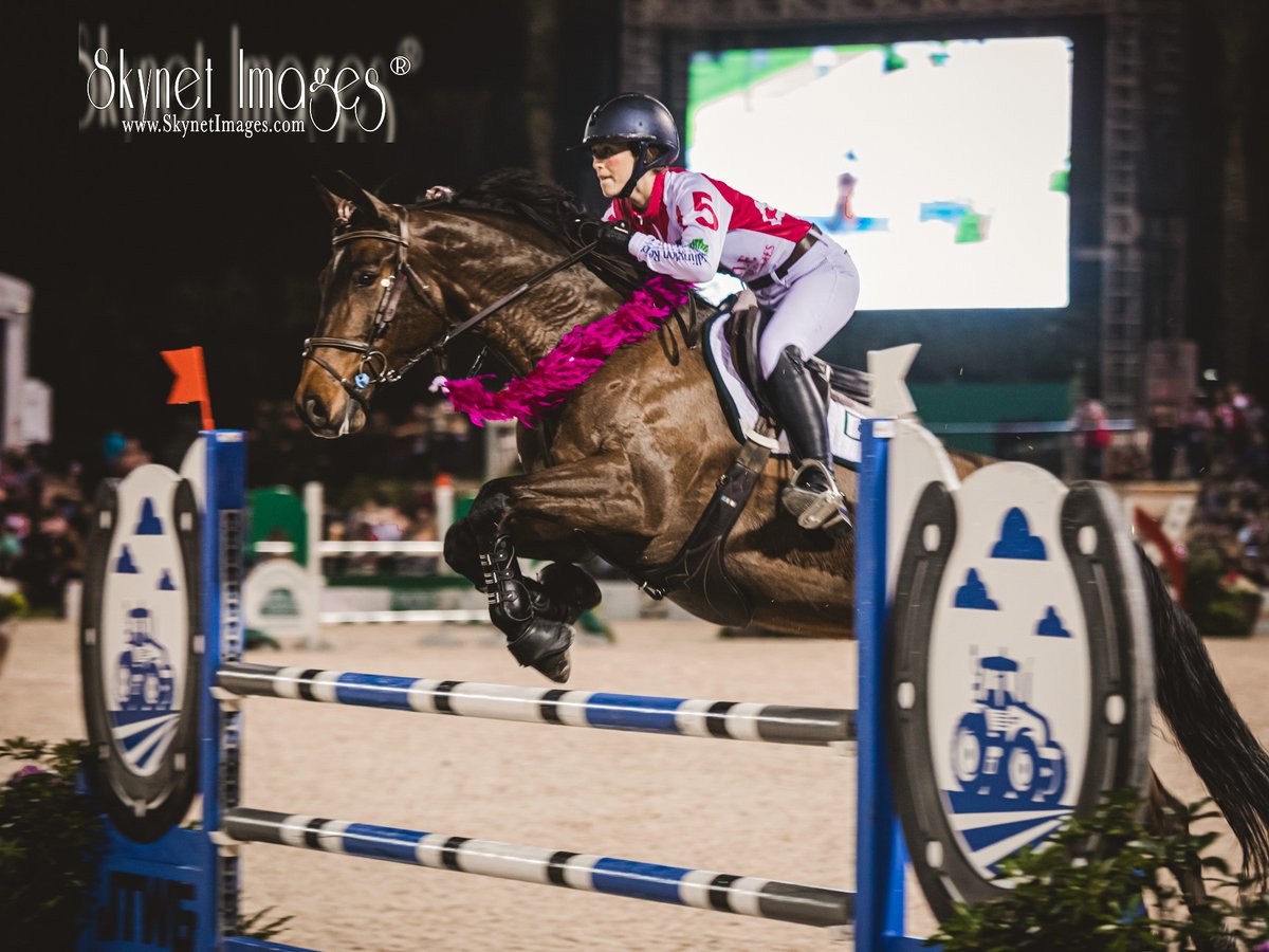 OlympianExpress's tweet photo. :| BATTLE OF THE SEXES|:. OlympianExpressMedia™️|SaturdayRecap 

What a splendid job by team leaders Charlie Jayne &amp; Nicole Bellissmo for guiding their team. The Boy's with a "WIN" 29-23, but the girls was a tough battle to go against.

#equestrians #Horses #equinephotography https://t.co/aOLj8enVnx