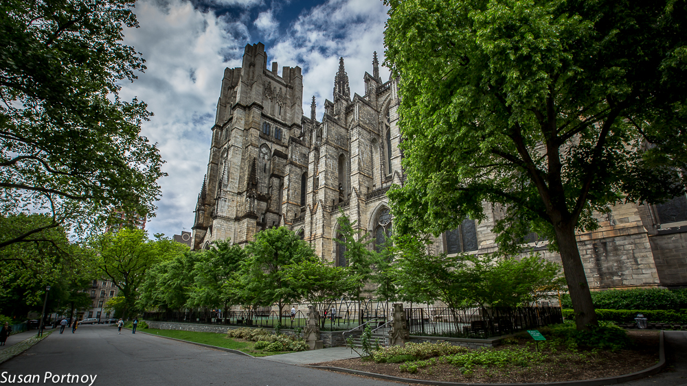 Insatiable Traveler tweet media