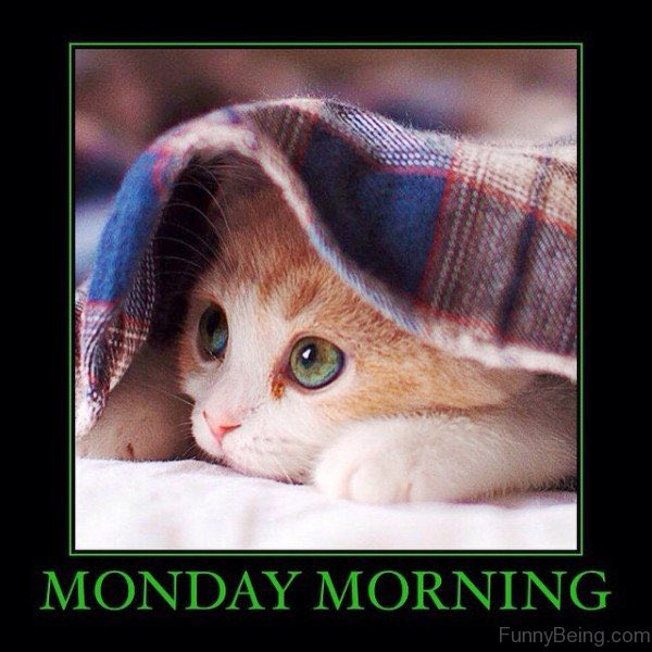 Good morning!! https://t.co/FHJb7AYzz0<a href="/tag/onmfc"class="tags"><span>&#35;onmfc</span></a>