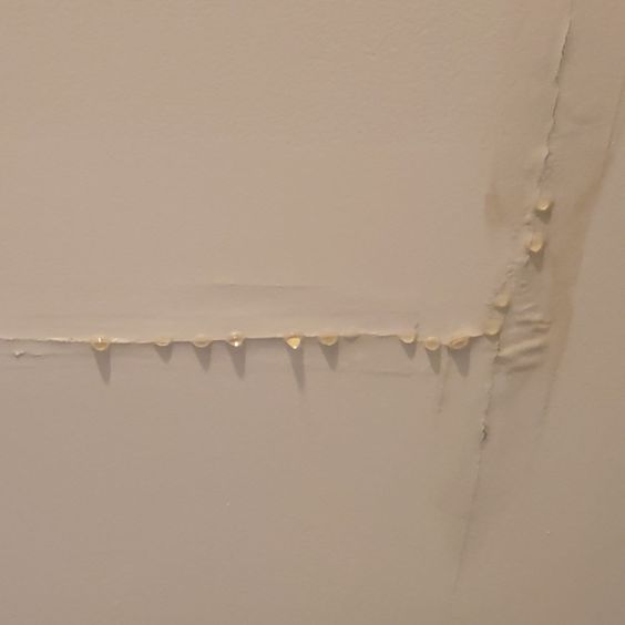 NARoofing's tweet photo. Notice a leak?  Give us a call 1-800-551-5602 https://t.co/E6TRLQerrY