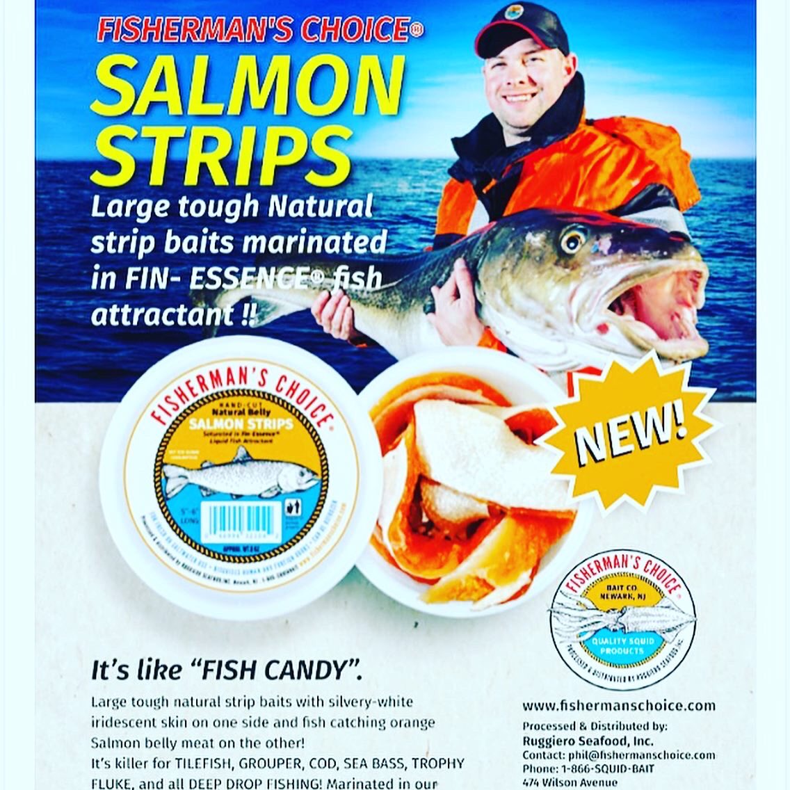 SquidBaits's tweet photo. #salmonstrips in shrimp oil #reeffishing #grouper #snappers #florida @fishandbait #fishcandy https://t.co/HumljEMuRV
