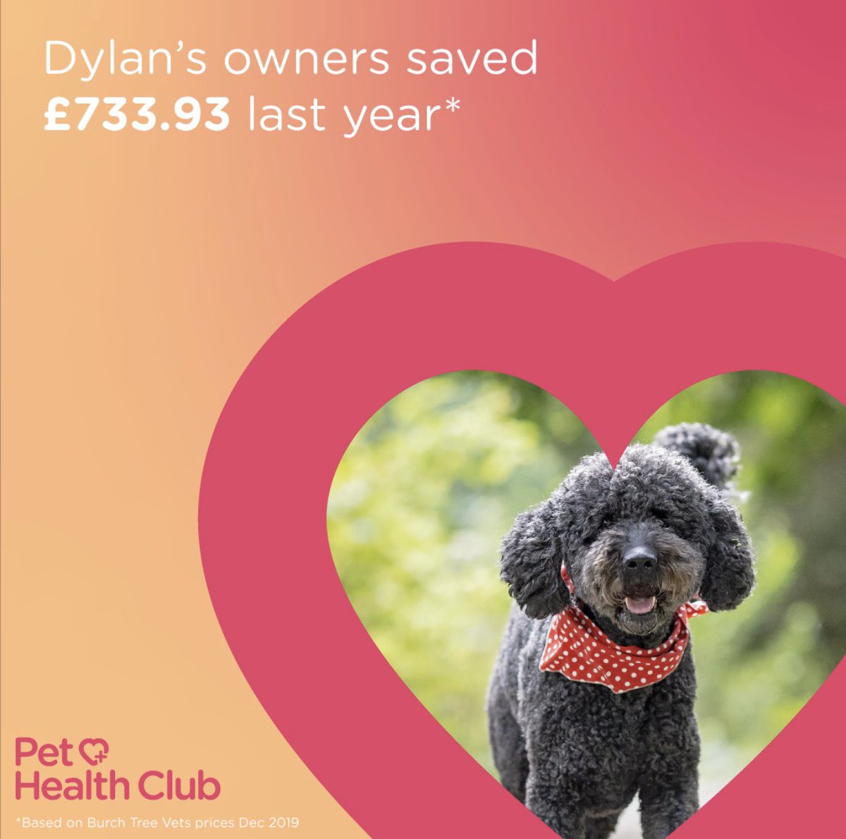 #pethealthclub #gottobeinit #hugesavings join now ... thepethealthclub.co.uk