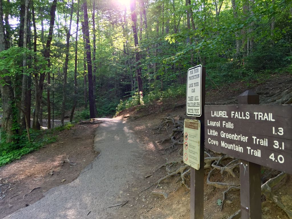 ChaletsAlpine's tweet photo. RT if you need a #Family #Hike in the #GSMNP today. https://t.co/oDGVKWNxvk