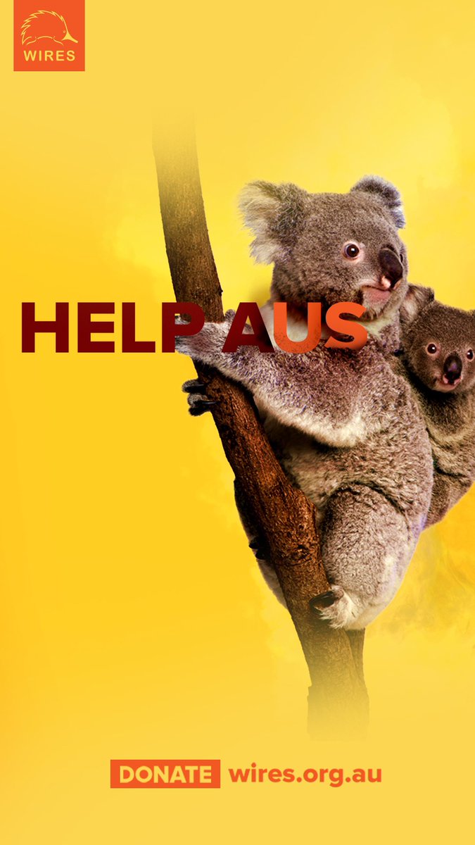 pearlmedia's tweet photo. We're happy to help the @YourOAAA  and @WIRES_NSW spread the word to help Aus! 🐨 🇦🇺
•
• 
#OOH #DOOH #HelpAus #WiresWildlifeRescue #Wiresrescue #bushfires #donate #Advertising #YourOAAA #Australia https://t.co/3DffTQeiD6