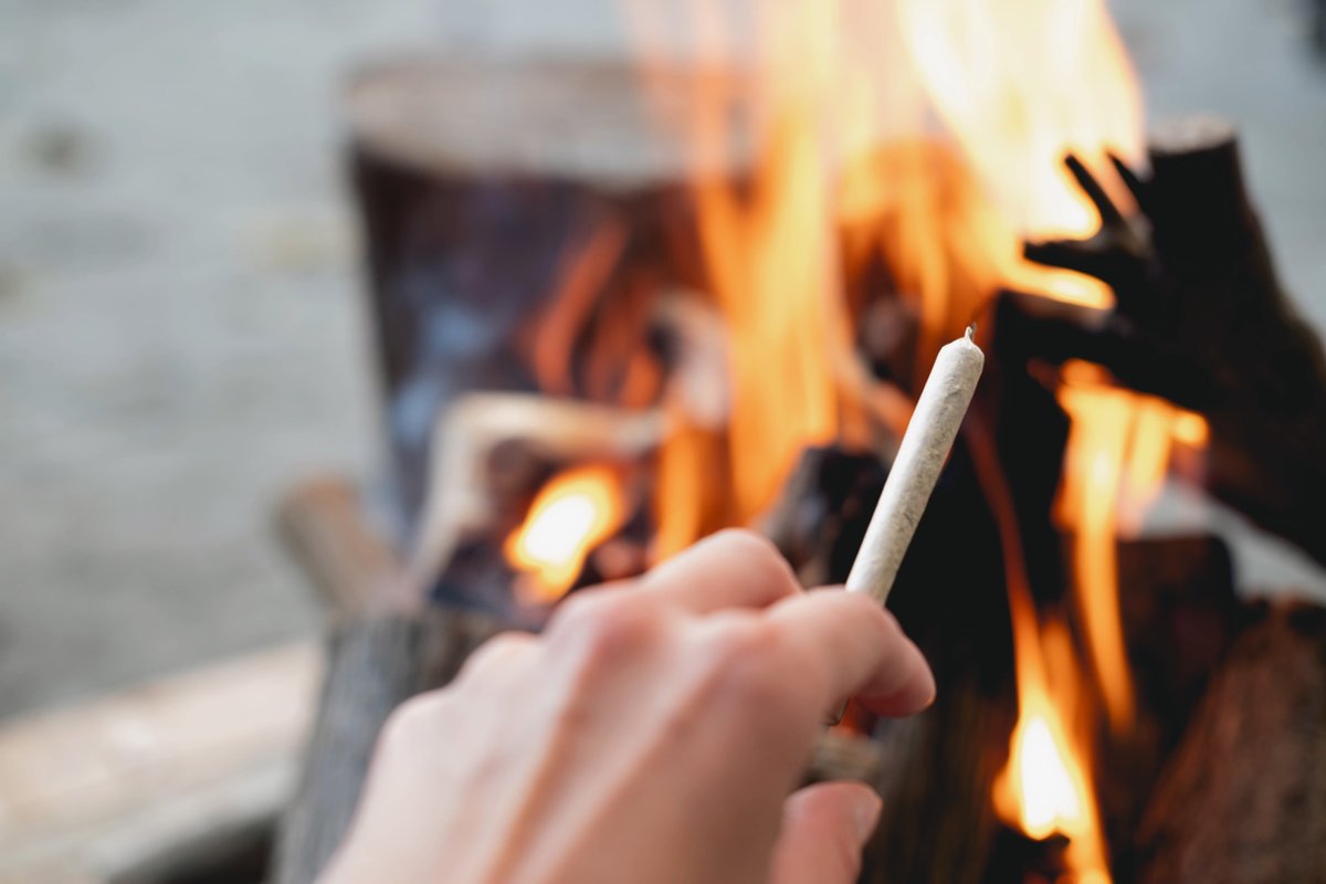 budexpressnow's tweet photo. What do you do when you run out of rolling paper? 🤔
There are many ways to consume the bud without papers.🤩🤩
Click https://t.co/poqaD8tVLY for 8 ways that don't involve papers!💚💚
#BudExpressNow #budnews #medicalbud #plantmedicine https://t.co/8nA14soKuV