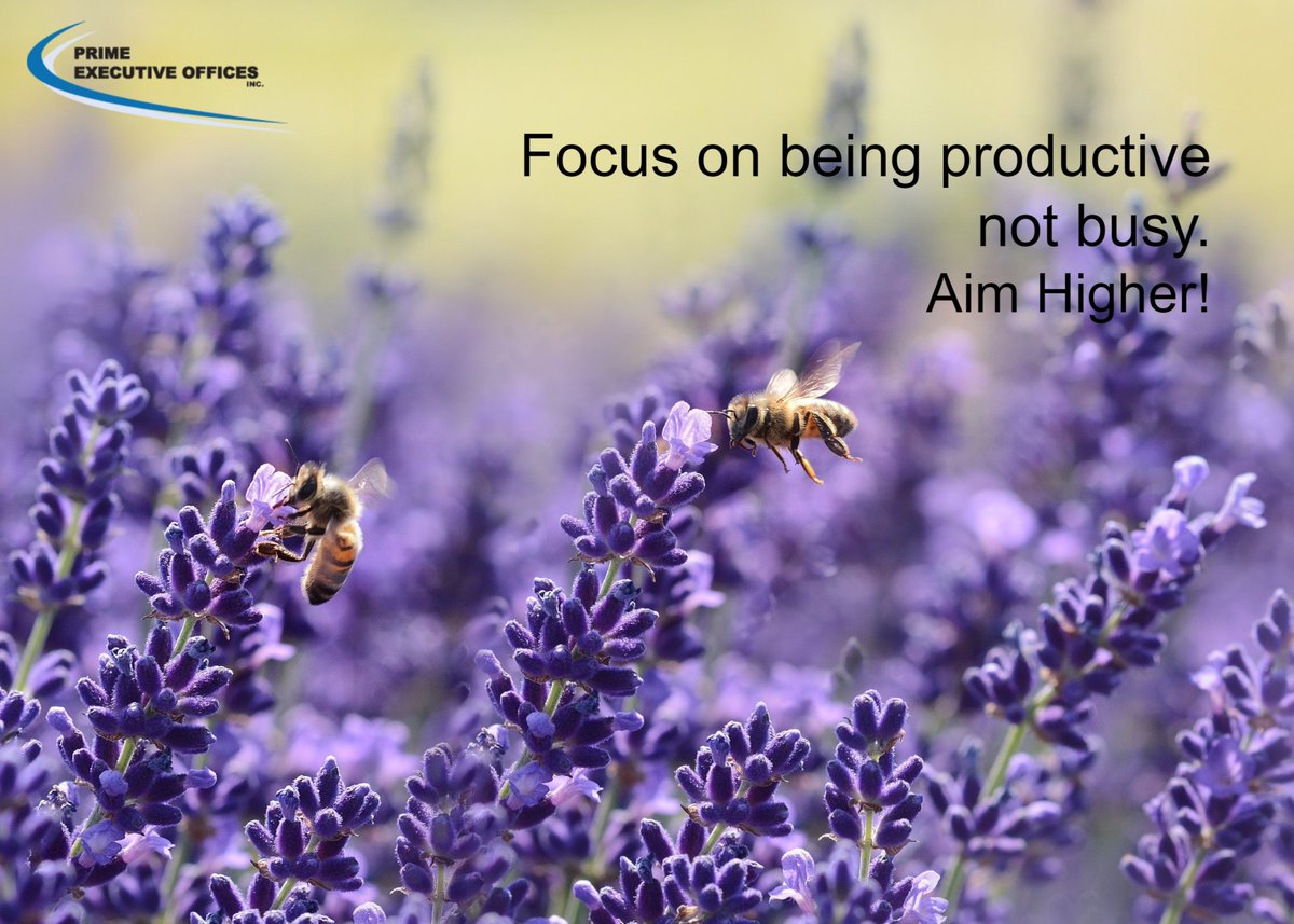 PrimeExecOffice's tweet photo. "Focus on being productive not busy."
-Tim Ferris
Don't look at things as work, look at them as steps getting you closer to your goal. Always aim higher! #AimHigher #businesssuccess #MondayMotivation #Carlsbad #PrimeExecutiveOffices https://t.co/gRSEgL9vEZ