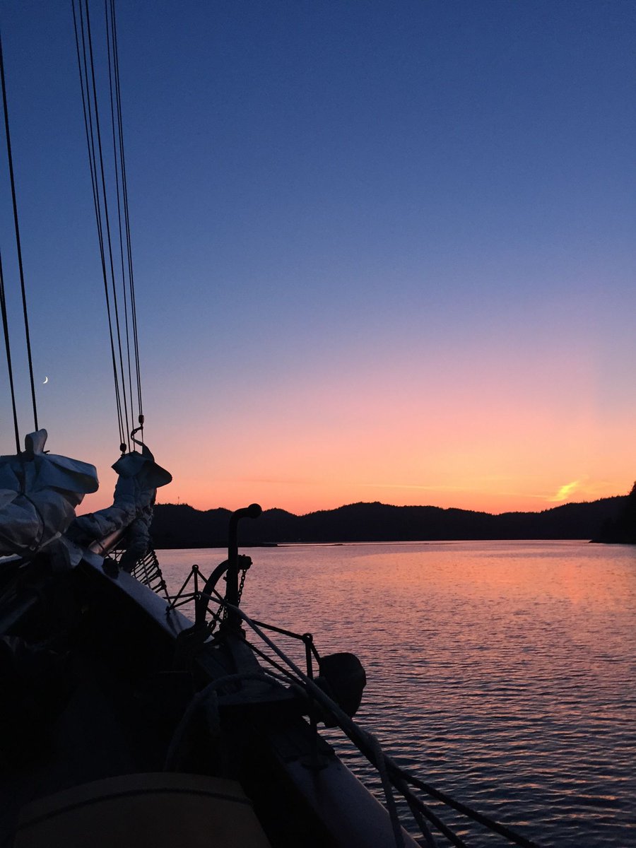 “My mental health improved in just a week and I learned the values of life and what my life is worth. You guys helped me grow as a person because you showed me that there’s more to life and to keep moving forward and don’t let one little thing ruin your day.” – Trainee 📷: Arwen