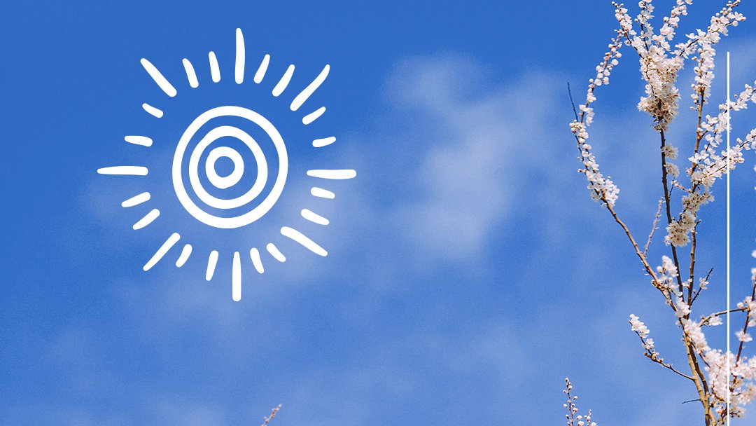 We welcome you to one of the cities with the sunniest days in the world. 320 sunny days a year on average. 320 opportunities to enjoy the outdoors during your stay in #Valencia.⠀