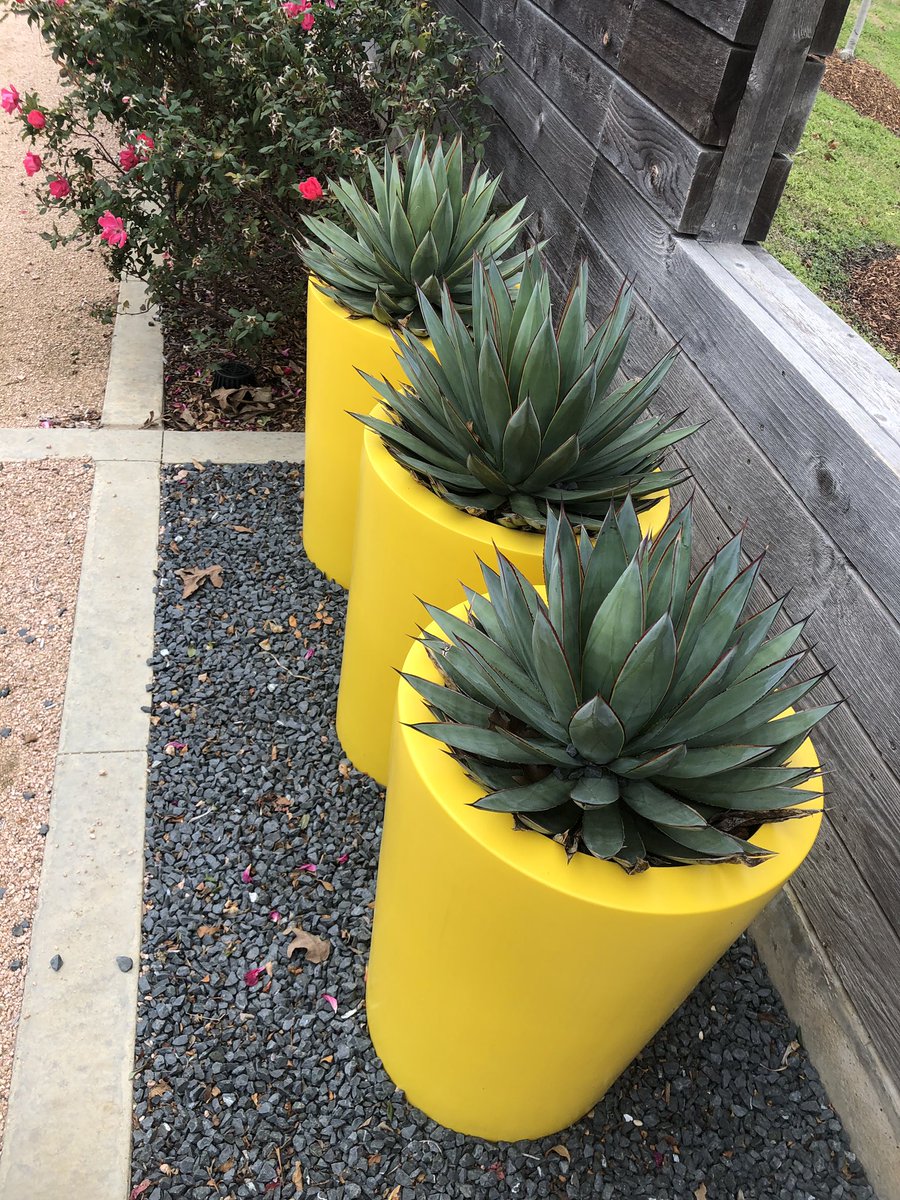 jennvacek's tweet photo. Hands on learning in the best place ever! Exploring the Texas A&amp;M gardens! #STEM4innovation @SparkTAMU https://t.co/5odGkXsiN4