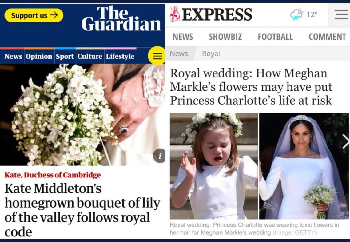 Exhibit 4:  #WeddingBouquetGateBoth brides had the classic British flower Lily of the Valley in their wedding bouquets. One bride (Kate) is lauded for following the royal code. The other (Meghan) is lambasted for endangering Charlotte.