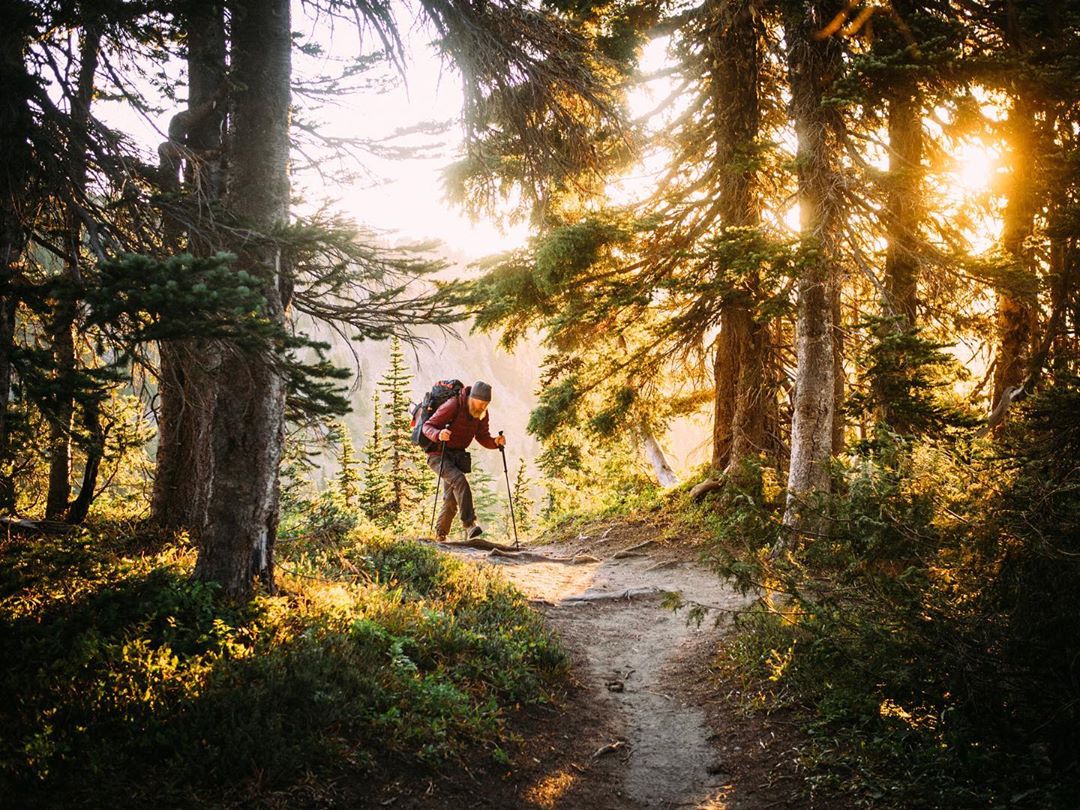 Planning for a #thruhike in 2020? Apply by January 16th to be a #thruhikesyndicate ambassador and get gear from @darntough <a href="/LEKIUSA/">LEKI USA</a> @NEMOequipment @ospreypacks and @vasquefootwear to outfit you on your adventure! Apply here: bit.ly/2020ThruHikeSy… 

 #lekihiking #lekipoles #leki