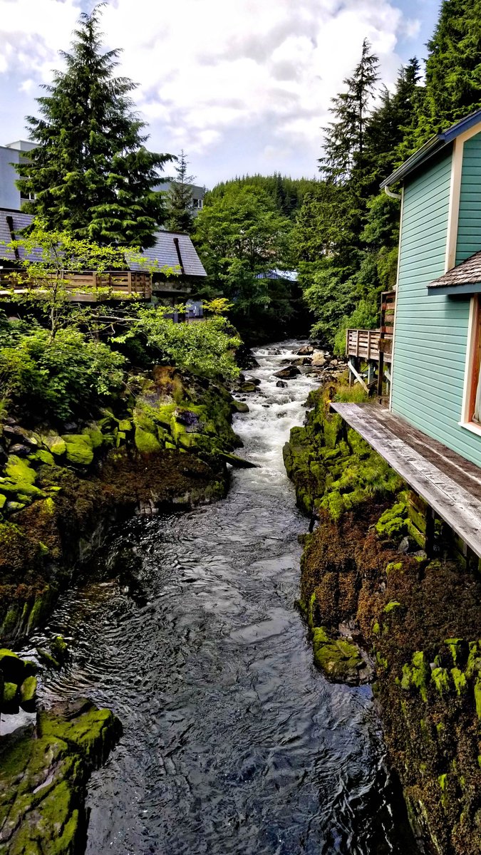 AltheaHeals's tweet photo. Cross the creek on the stepping stones of your failures ketchican alaska #crosscreek #ketichican #alaska #steppingstone #creek #failures https://t.co/MlwbAO0be7