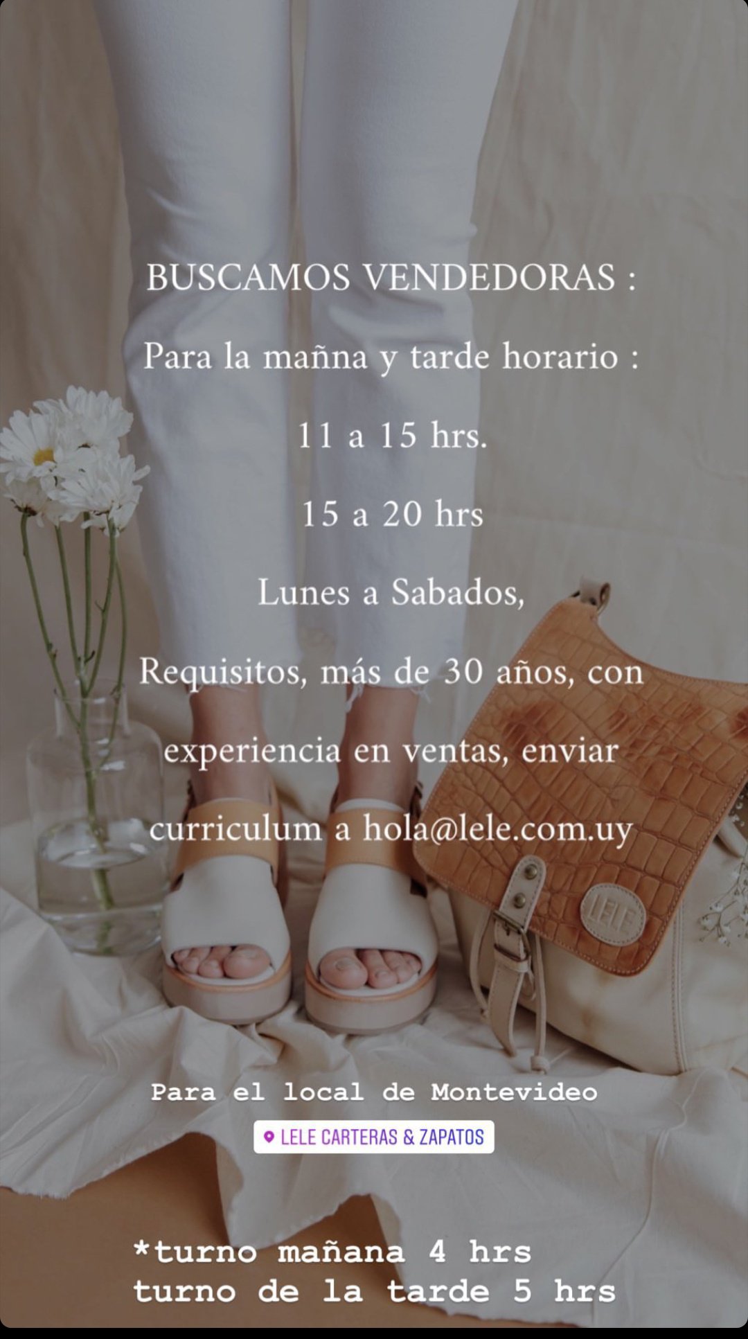 Lele carteras y zapatos new arrivals