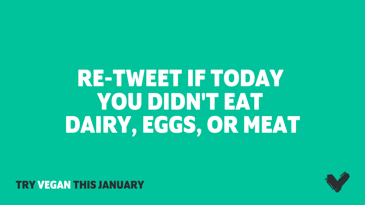 RT! 🙌

🧀🍳🥩 = ❌

Fist bumps for everyone staying strong through #Veganuary2020 so far! You've got this. 🤜🤛
