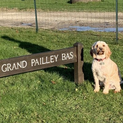 GrandPailleyBas's tweet photo. #NewProfilePic https://t.co/gGUA6UOJOW