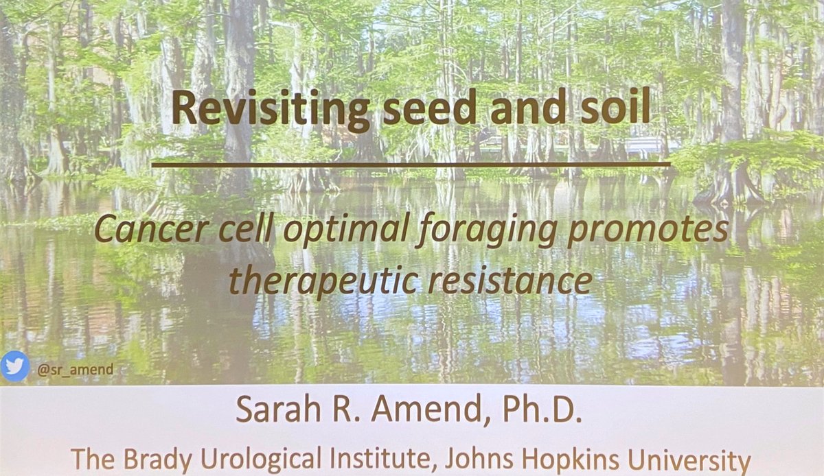 ara_anderson's tweet photo. Today’s Cancer Biology & Evolution seminar is by Sarah Amend form @JohnsHopkins discussing Revisiting seed and soil. Here being introduced by @Sciurusniger the other #ThinkFest20 organiser. https://t.co/nGo5BsUXtd