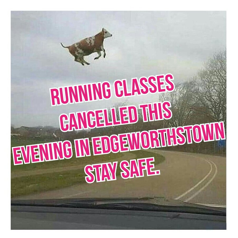 Brendan Doyle Running tweet media