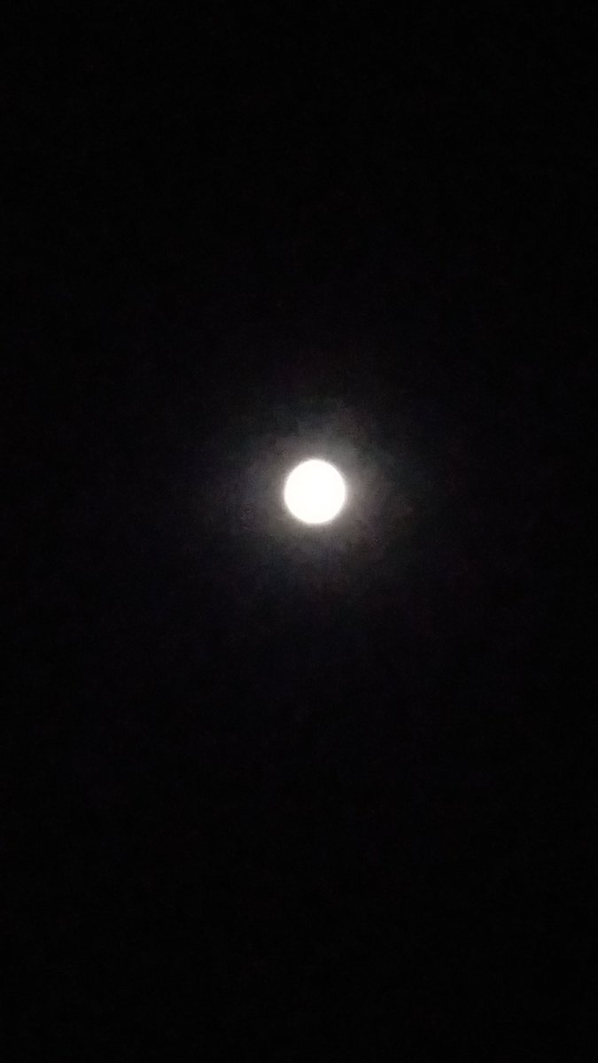 Kinza_Zeshan's tweet photo. چاند نکلا ہے تجھے ڈھونڈنے پاگل کی طرح🌙

#DGkhan #Photo #Click #ShinyMoon #Clearweather
@javerias https://t.co/XU3kmLrjgg