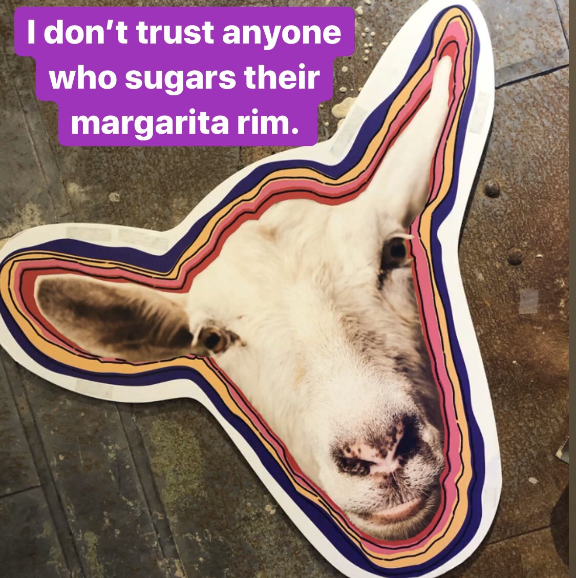 ZumBarSoap/Indigo Wild (@indigowild) on Twitter photo 