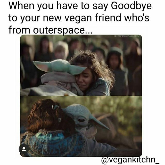 VeganKitchen's tweet photo. 🌱 When you have to say goodbye... #babyyoda .
.
Click link In Bio for funny vegan stickers, tshirts and more products coming soon...
.
.
#veganfriend #babyyodamemes #mandalorian #starwars #crueltyfree #cheapvegan #expensivevegan #dairyfree #veganfood… https://t.co/a7IpdEFYxb https://t.co/NygD76kaBN