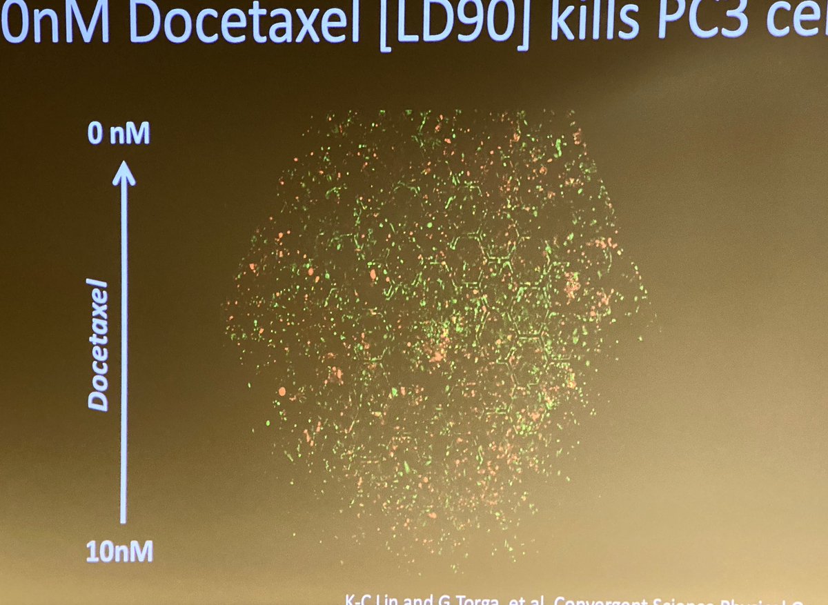 ara_anderson's tweet photo. Amend introduced the concept of autoeutrophication in cancer and how it leads to a swamp like environment. She also discusses the death galaxy device to examine tumor evolution under environmental stress #ThinkFest20 https://t.co/bGd8VrYuHM