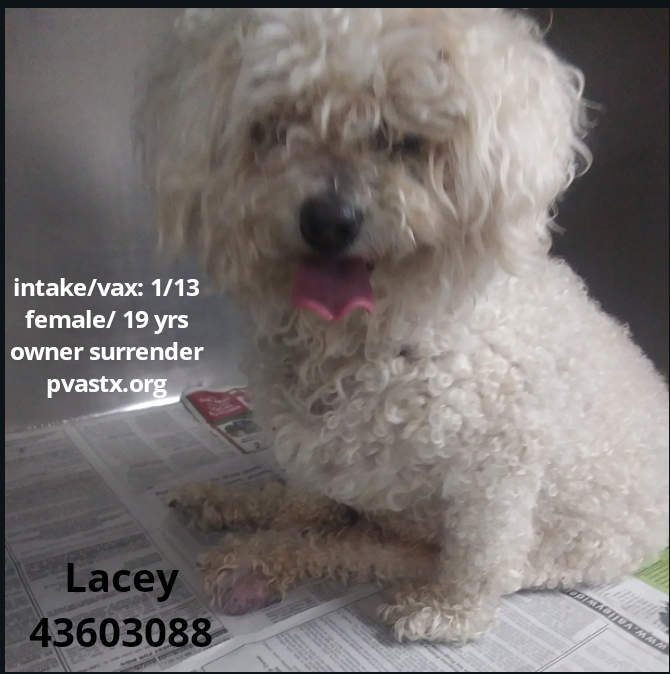 @sol_Alpha01 tweet media