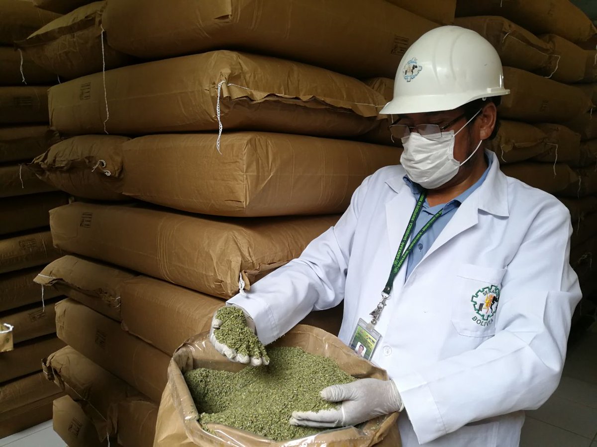 MDRyTOficial's tweet photo. Ya pasó los controles del SENASAG: Tomina exportará orégano a España https://t.co/gEV54eDaWJ
@SenasagBolivia https://t.co/pycgKwAbSg