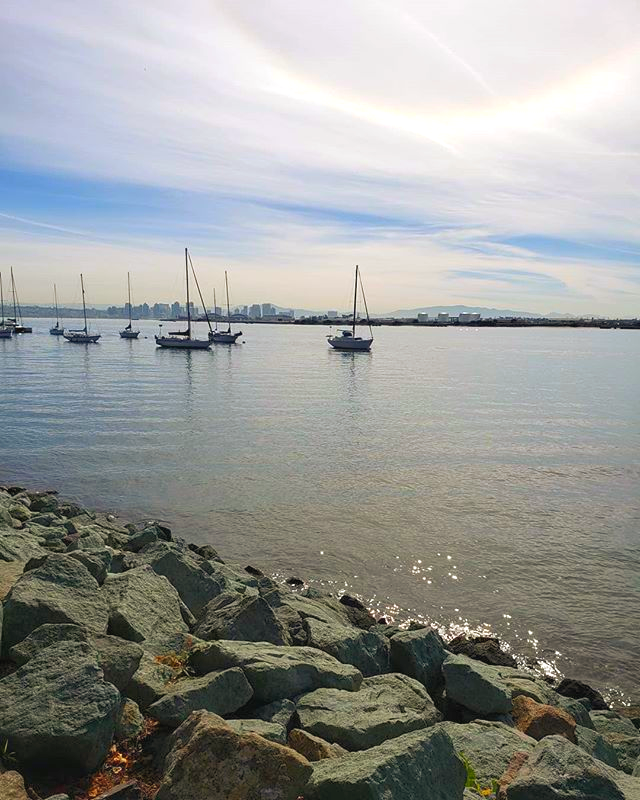 Island_Palms's tweet photo. Waterfront bay views make Mondays so much better. 🌴 #SanDiego #SanDiegoBay #SouthernCalifornia #Ocean #VacationIsCalling Photo by: https://t.co/d7hvUhplfD https://t.co/lX2Do0SY3c