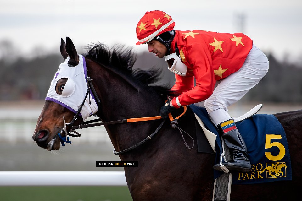 MR GUETTA and jockey Leonard Rios.

#bropark #svenskgalopp <a href="/svenskgalopp/">Svensk Galopp</a>