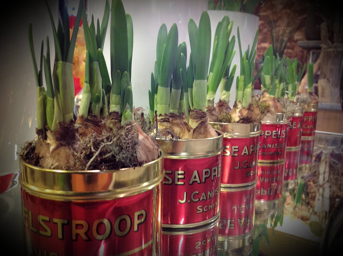 Paulusfloralus's tweet photo. #springtime #springtimegarden #lessismore #nostalgie
#duurzaam
In het kader van #duurzaamheid is dit een kleurrijke, vrolijke én originele toepassing.
Ik gebruik het al jaren mmmmmm stroop. #canisiusstroop https://t.co/BmpIjys8c2