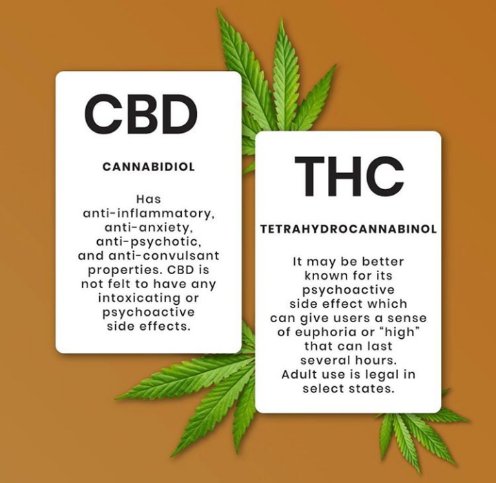 BeardChronic's tweet photo. Fun Fact for Y'all 🤙🏻💚🌿

#chronicbeard #hemp #cannabis #marijuana #cbd #thc #funfacts #facts #INFO #CannabisCommunity #cannabisculture #cannabisindustry #hempoil #hemp2020 https://t.co/6RLaeZAzB4