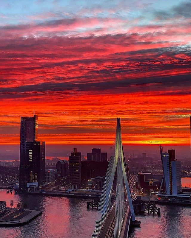 KURD_010's tweet photo. Rotterdam is hot! 🔥🔥
.
.
.
Foto: @yvonnevangalen
#erasmusbrug #rotterdamzuid #rotterdaminthepicture #rotterdaminbeeld #rotterdamgallery #rottahistorica010 #rotjeknor #rotterdamcity# #komieuitrotterdamdan #rotterdamcitycentre #sunset #zonsopkomst #su… https://t.co/slTnU8x3VT https://t.co/MKVE53tzOF