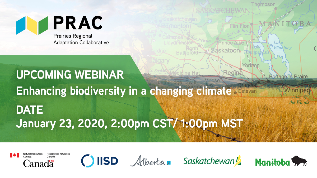 Join <a href="/adaptwest/">AdaptWest</a> &amp; <a href="/borealbirds/">BAM Project</a> researcher <a href="/StralbergDiana/">Diana Stralberg</a> on January 23 @ 2pm CST for a webinar on Enhancing biodiversity in a changing climate, hosted by the Prairies Regional Adaptation Collaborative #borealbirds <a href="/PrairieClimate/">PrairieClimateCentre</a>