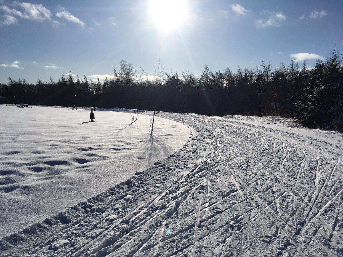 Unofficial RSJR Flag tweet media