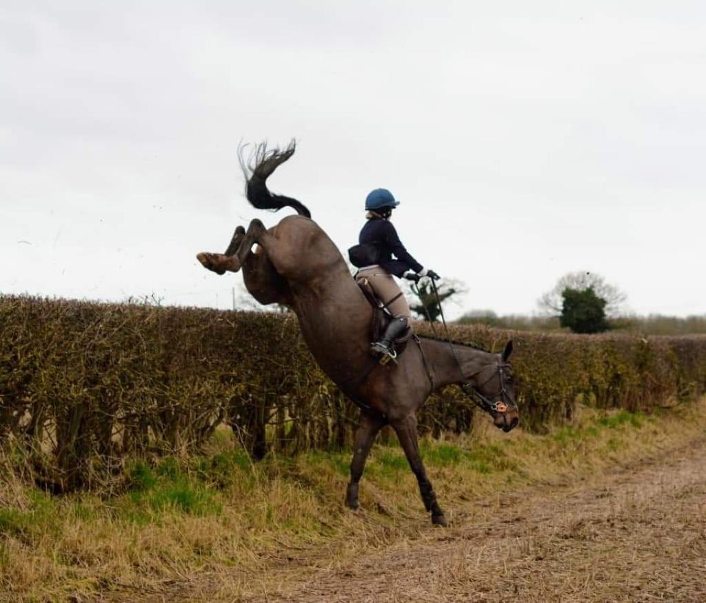 My survival mode kept the partnership intact over this one 😂🚀🦘🦄🌟❤️ #flying #cheshire #sirpascal