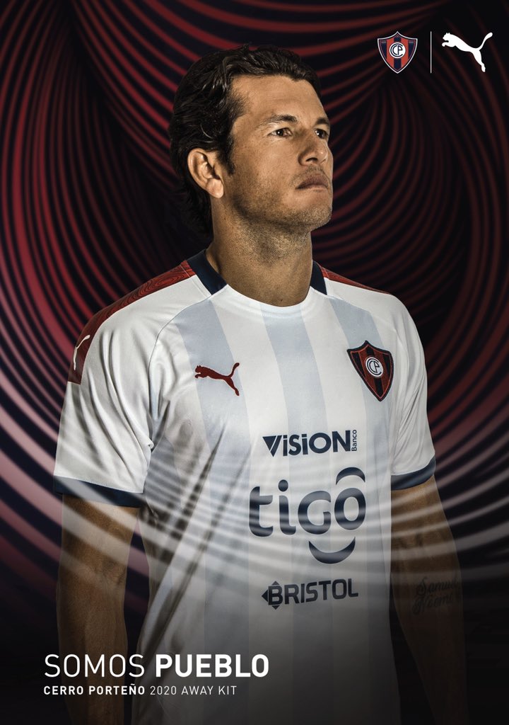 PUMA de Cerro 2020 - Todo Sobre