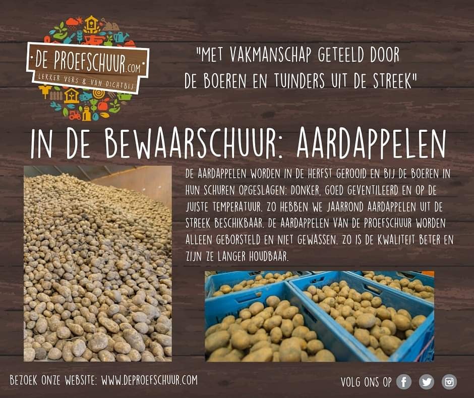 🥔Het hele jaar zijn er veel soorten aardappelen van De Proefschuur verkrijgbaar. deproefschuur.com Ze worden alleen geborsteld en niet gewassen. Zo blijft de kwaliteit beter en kunnen ze langer worden bewaard. #smaakvol #kruimig #vastkokend #puree #gebakken #patat