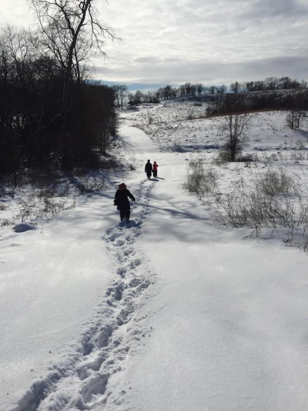 ByronForestPres's tweet photo. Guided walking tour at Bald Hill Prairie Preserve in winter. Moderate hike with several hills. Meet at the Bald Hill Prairie Preserve parking lot located at 5502 North Silver Creek Road, Mt. Morris. 10am. 815-234-8535 to register by 1/18/20. Children must be 10 years old. https://t.co/JfWYiRLaNg