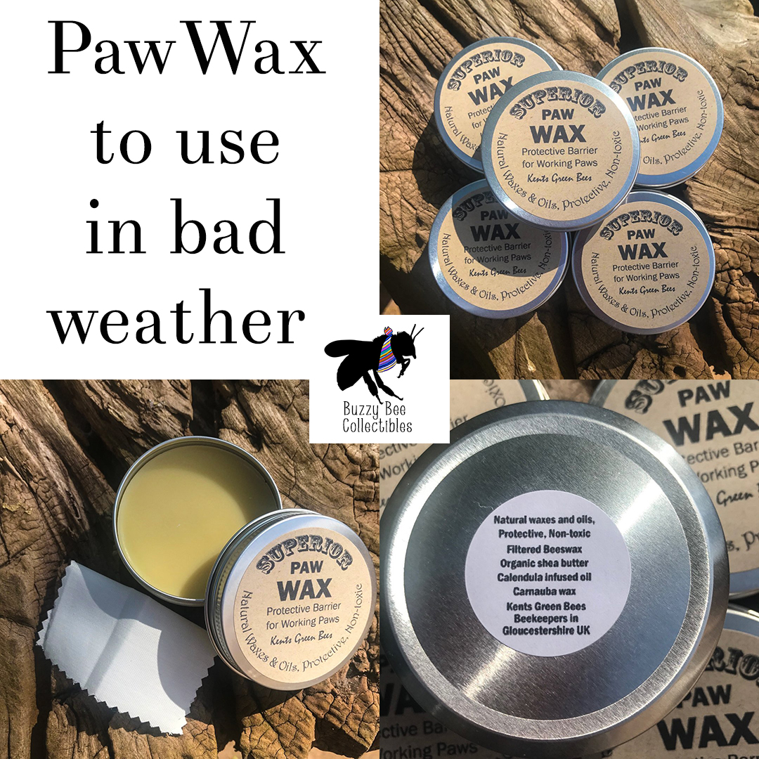 BuzzyBeeColl's tweet photo. Here's what a customer said about our Paw wax: (great for all pets)

"Bought the paws wax and it's amazing, makes the pads lovely and soft, delivery was fantastic, would definitely recommend ordering from them."

https://t.co/lUPnZgv6C1

#bees #buzzybeecollectibles https://t.co/uFbftWkwgE
