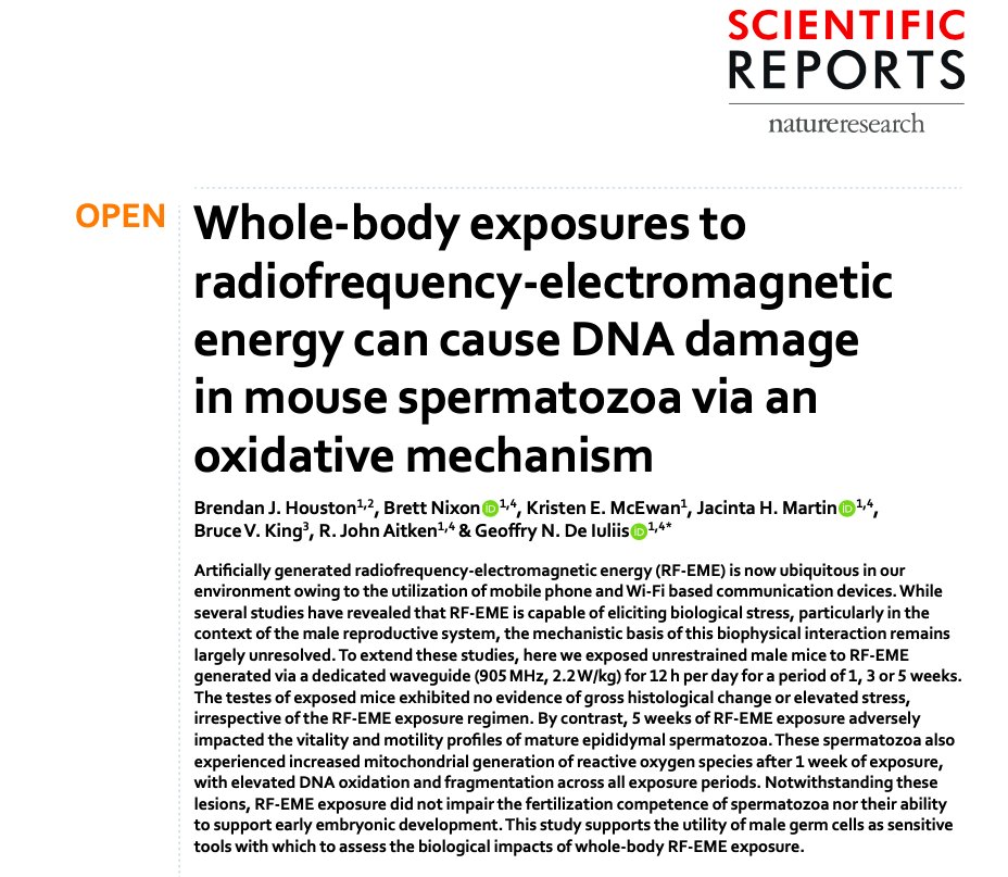 Microwave News on Twitter "Yet another paper showing RFinduced DNA damage. This one from