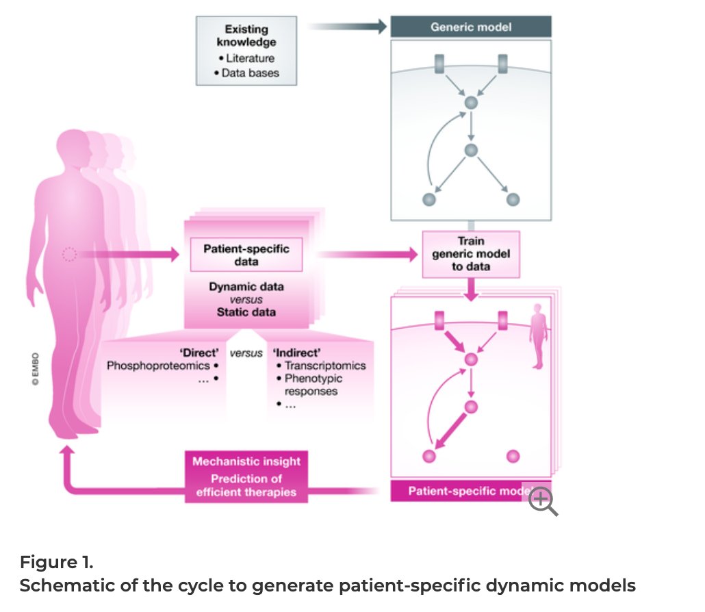 BioDecoded's tweet image. Personalized signaling models for personalized treatments | Molecular Systems Biology
embopress.org/doi/full/10.15…
#bioinformatics #DynamicModel