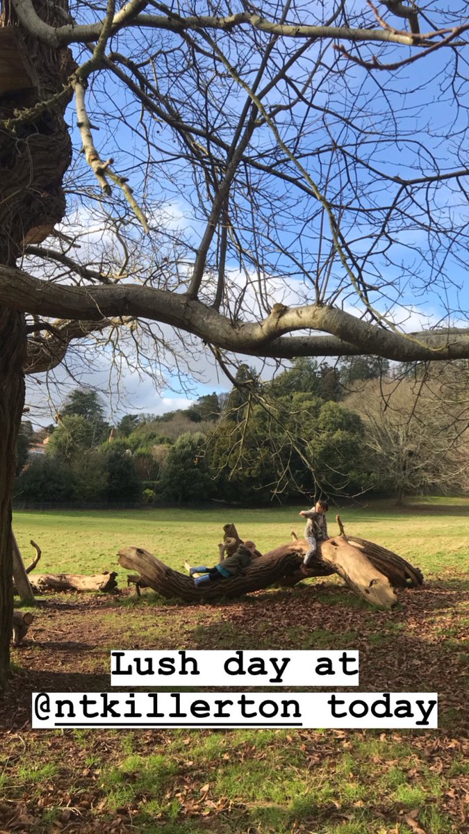 exploringexeter's tweet image. Gotta love a day out at @NTKillerton ❤️ #exeter #ExploringExeter